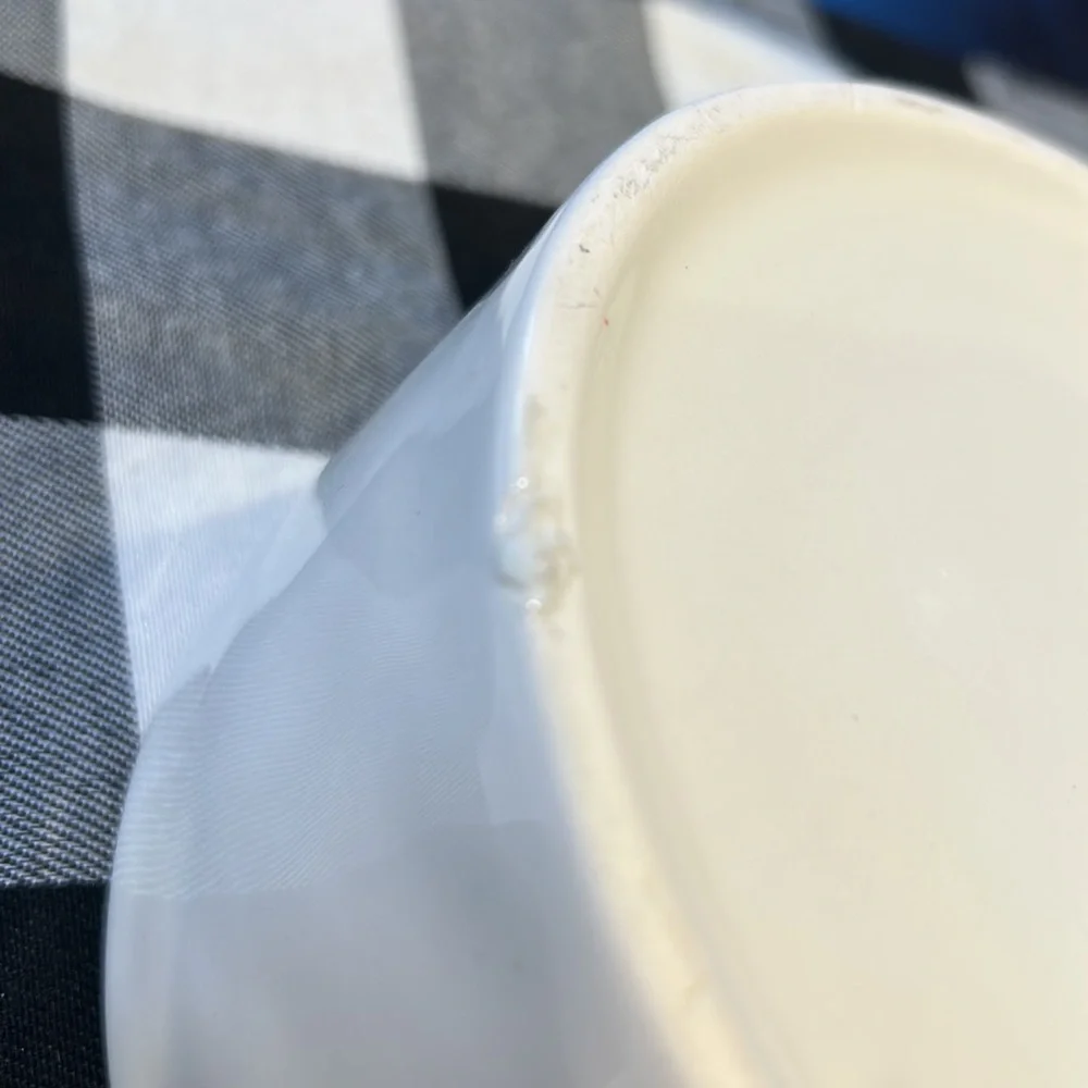 Rae Dunn DEVOUR Dog Bowl